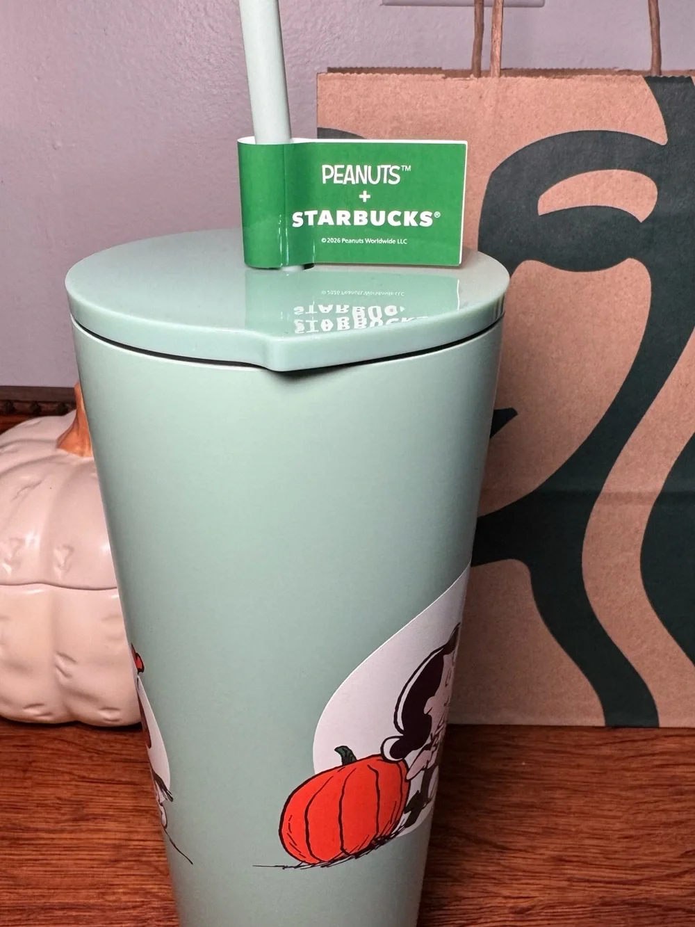 Starbucks Mint Green Peanuts Stainless Tumbler with Straw and Character Art